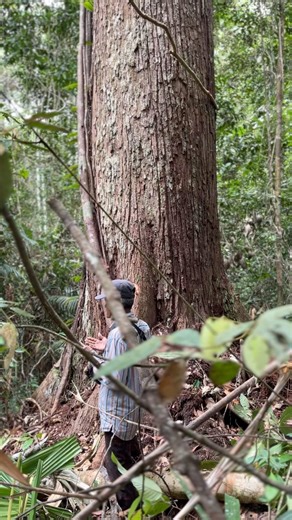 311K views · 5.2K reactions | The shaman prays to the Almighty, asking for blessings so that every step of the process goes smoothly #pacujalur | DelkiDelkuik | Facebook