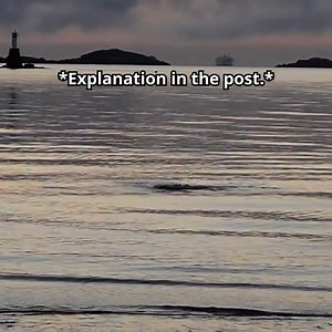 Why would a salmon need to jump out of the water (in the open ocean, no less) if there were no obstacles in its way? According to Tlingit tradition, these acrobatic fish leap to scout their surroundings, getting a “fish's eye” view of both water and land. Another theory is that salmon jump just to play! However, there’s also a darker theory: Young sockeye salmon have been seen jumping up to 30cm high, 9 times daily, but not to get past any kind of barrier. Scientists had a hunch why they might b