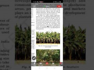 cropping pattern 10th class by Anju Gupta