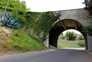 13 Things You Didn’t Know Existed in La Jolla