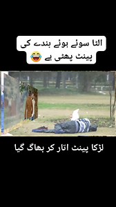 326K views · 489 reactions | Open my Facebook page for full video Ali Raza Pranks #alirazaranks #dailyfunpranks #KhanAli #pranks | Ali Raza Pranks | Facebook
