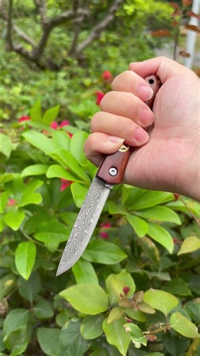 The Most Beautiful $18.90 Damascus EDC Pocket Knife? #blade#Damascus #edc #gift #relax #asmr #tools