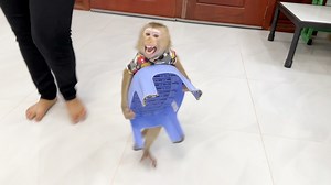 Sara Super Excited Walk Carry Her Chair To Sit Eat Lunch At Kitchen | Monkey Daily