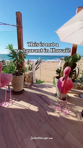 Exploring Tangier, Morocco: A Traveler's Guide