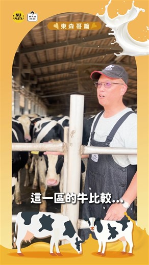 #牧場直擊 #幕後花絮 #許慶良牧場 這天的直擊， 直接列入團隊「此生難忘」清單🥺 我們來到孕育出臺灣頂級品質鮮乳、鮮乳坊合作牧場——「許慶良牧場」！ 一踏進牧場， 就被第二代經營者東森哥和一群超熱情的牛牛們包圍🐄 拍攝進度瞬間被可愛程度打亂啦🤣 透過這次親臨現場，我們不僅看見牧場團隊對牛牛們細心呵護的模樣， 更深刻體會到，每一瓶頂級鮮乳的背後，都凝聚了不間斷的投入與對用心照顧的堅持。 這份對品質的執著，正是本次限定菜單的靈魂！ 限定菜單六款不同風味湯頭，從濃郁奶香到清爽口感，每一口都暖心又好吃！ 現在就快快來 NU PASTA 品嚐吧😍 📅 販售期間｜114/10/30 – 115/1/25 📍 全台 NU PASTA 門市季節限定販售 #NUPASTA #鮮乳坊 #莊園級鮮乳 #從牧場到餐桌 #限定義式湯麵 | NU PASTA 義大利麵