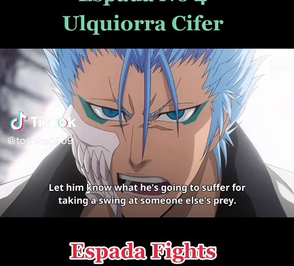 Ulquiorra vs Grimmjow Espada Fights