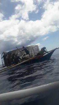 Huge Fish Trap (bubu) Fishing in Siquijor, Philippines