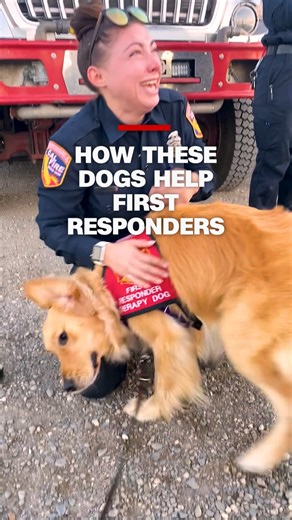CNN Hero Heidi Carman and her nonprofit's therapy dog teams are on a mission to help firefighters and other first responders cope with stress. Read more: https://cnn.it/433iMN8 | CNN