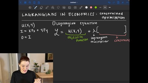 lagrangians in economics_ constrained optimization