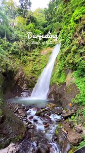 5.6K views · 226 reactions | Nestled amidst acres of tea plantations, Darjeeling stands at the height of 2,050 meters above sea level. Over 86 tea estates in Darjeeling are responsible for producing the worldwide famous ‘Darjeeling Tea.' ✨ . . Credits: @missgastronomic #kolkata #kolkatabuzz #kolkatacity #travelreels #travelgram #instatravel #traveltheworld #reelsvideo #reelitfeelit #reelsvideo❤️ | Whats Hot Kolkata | Facebook