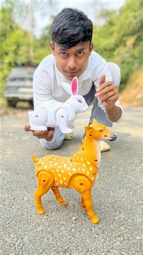 Remote Wala 2Ta Deer And Rc Khargosh Unboxing & Testing 😍🔥