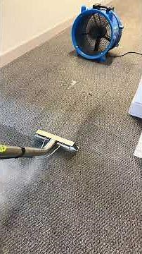 Commercial Carpet Cleaning That Makes a Difference | Easy Clean Since 1984