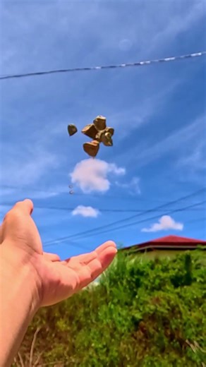 What happens in a split second...
