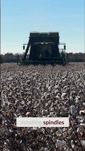 Ride Along in a Giant Cotton Picker Machine