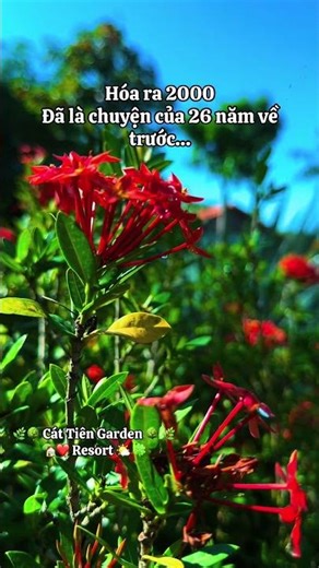 Cát tiên garden Homestay #namcattien