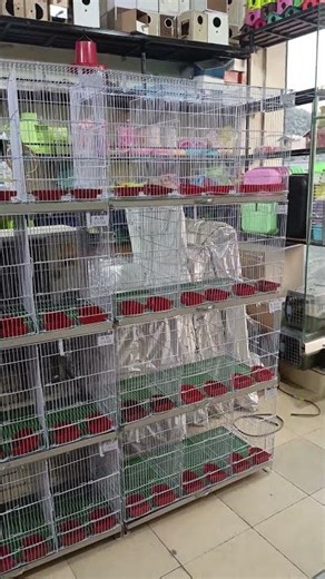 12 Portion Cage.. java, finch, golden, lovebird etc...