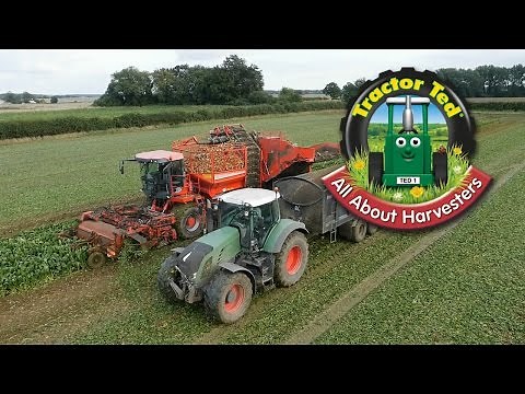 Trailer: Tractor Ted All About Harvesters