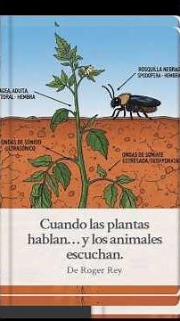 The incredible discovery: plants and animals communicate with sounds (and we didn't know it)