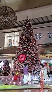 8.6K views · 271 reactions | SM City Cebu Christmas Tree Lighting Countdown SM City Cebu (Official) | Radyo Bisaya with Kuya M | Facebook