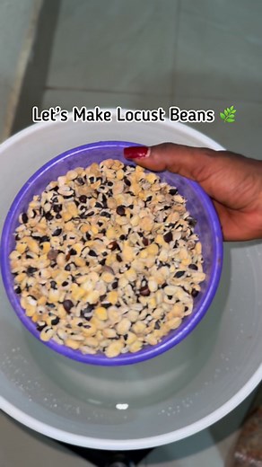 Grandmothers often say, "iru ni ogbon efo" "iru is the wisdom of the soup."Locust beans come from the African locust bean tree (Parkia biglobosa). The seeds are fermented to produce a strong smelling, flavorful condiment widely used in West African cooking. Iru is more than seasoning, it's a piece of heritage. It connects families to their roots, traditions, and the old ways of cooking. For many Yoruba homes, the smell of iru frying in palm oil means home. It has a distinct aroma earthy, sharp, 