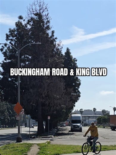 Renaming Santa Barbara Avenue to Martin Luther King Jr. Boulevard