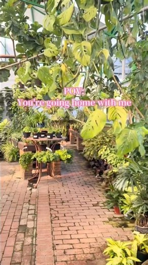 Planty chronicles with Mama Woo
