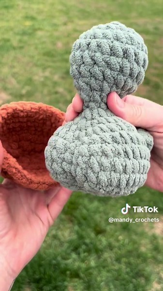Cheeky Turtle Crochet Tutorial for Beginners