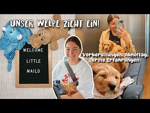 Our puppy is moving in - preparations, pick-up day and experiences - vlog melliescameraroll