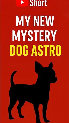 Meet My New Dog ASTRO 🐾 | Fortnite Gamer’s New Teammate! #Shorts