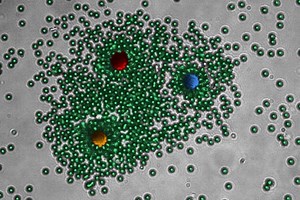 Life-Like Laser Behave Like Living Materials by Reorganising Itself