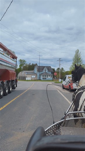 2.4M views · 10K reactions | Gypsy Vanner gelding Willing got a real...