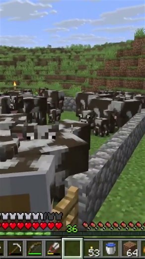 Made a cow farm and a wheat farm #gaming #minecraft ￼