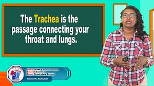 WATCH | Grade 4 Science - Respiratory System with Miss Shamsudeen | Guyana Learning Channel