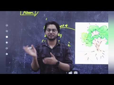 Why glucose is transported as sucrose| #Biology #CBSE #ICSE #NEET