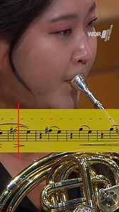 Beautiful buildup!📯 #hornsolo #sheetmusic We play Johannes Brahms #symphony No. 2 in D major under the baton of Cristian Măcelaru. The horn solo in the 1st movement is played by the wonderful Haeree Yoo. | WDR Sinfonieorchester