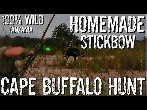 Free Ranging CAPE BUFFALO With a HOMEMADE LONGBOW | My Legacy Bow Hunt |