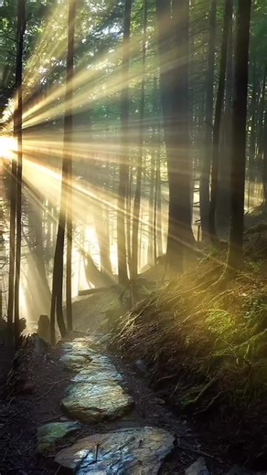 Dr A America 🇺🇸 (@dr.a.america.1)’s videos with original sound - ƧӇAӇȤƖ ƁӇAƬƬƖ