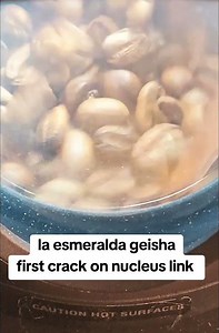 la esmeralda geisha roasting on Nucleus link at first crack#coffee #roasting #brew #asmr #geisha
