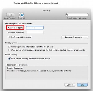Microsoft Word 2007 Mac Os X