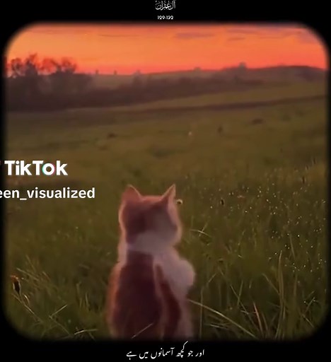 Understanding Surah Al Imran Verses 129-132 in Urdu