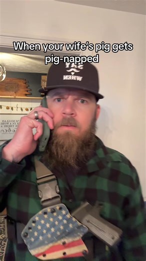 Priceless pig #Dwight Invader Concepts | Christopher Cluff