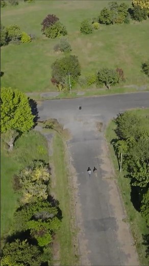 2011 New Zealand Earthquake