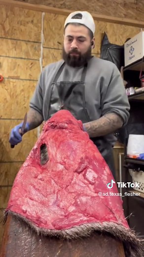 Laser sharp🔪 #ADwholesalefleshing #fypシ #goviral #fleshing #blowthisup #foryou #taxidermy #husslemode