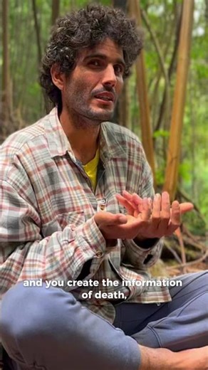 Stop removing the skin of the tree