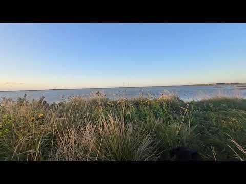 Duck flighting