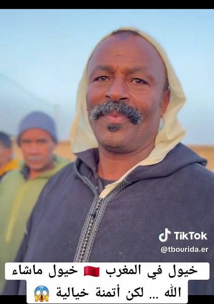 #الخيول_العربية_الاصيلة #التبوريدة_المغربية🇲🇦 #الفحل #tbourida #tbourida_morrocan_culture #الجزائر🇩🇿 #tbourida_maroc✌️👌🏻khouribgha_bnikhlaf #التبوريدة_تراث_شعبي_مغربي_أصيل❣️🐎 #tbourida🐴 #التبوريدة❤❤❤ #التبوريدة_ثرات_شعبي_مغربي_أصيل #tbourida_56 #التبوريدة_المغربية #التبوريدة_تراث_شعبي_مغربي_أصيل #khouribgha_bnikhlaf #tbourida_56 #التبوريدة_المغربيةالتبوريدة