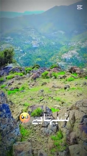 #nature #like #amazing #subscribemyvideos#❤️🥀✨️🌙❤️❤️‍🩹🖼