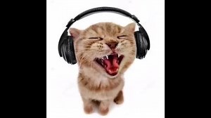 Firework - katy perry pluggnb remix #fyp #foryou #foryoupage #fypシ #fy #foryourpage #fypシ゚viral #viral #viraltiktok #makemeviral #pluggnb #plugg #pluhh #remix #katyperry #katy #perry #catsoftiktok #cat #pinkcore #csgo #headphones #trap #music #beats #producer #producertok #producertok #producersoftiktok