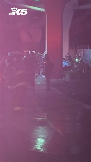Teen dies after car falls about 80 feet off Seattle overpass