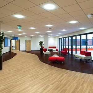 Polysafe Wood fx PUR